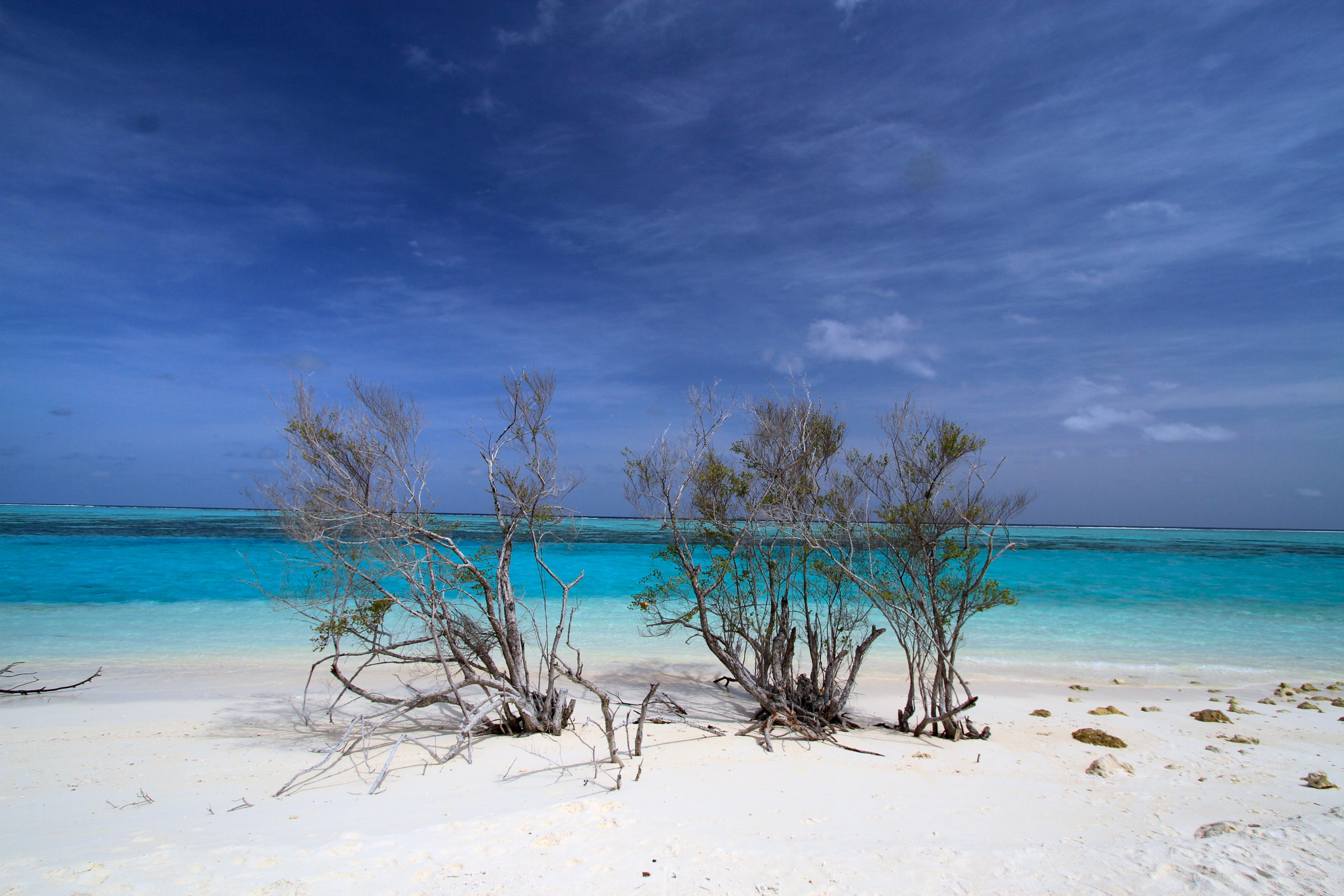 san juan bautista (robinson crusoe island) (2).webp